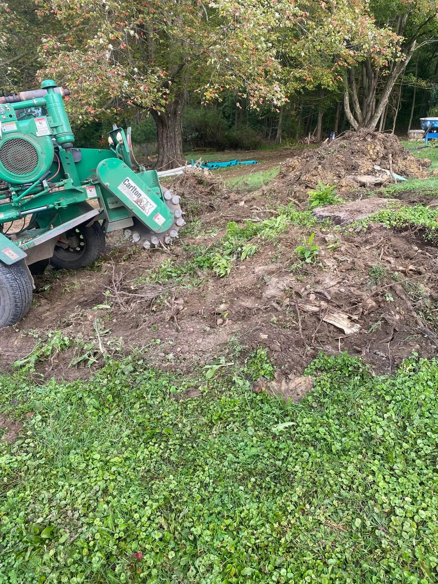 Green excavator clearing overgrown lot with debris pile and mature trees in background