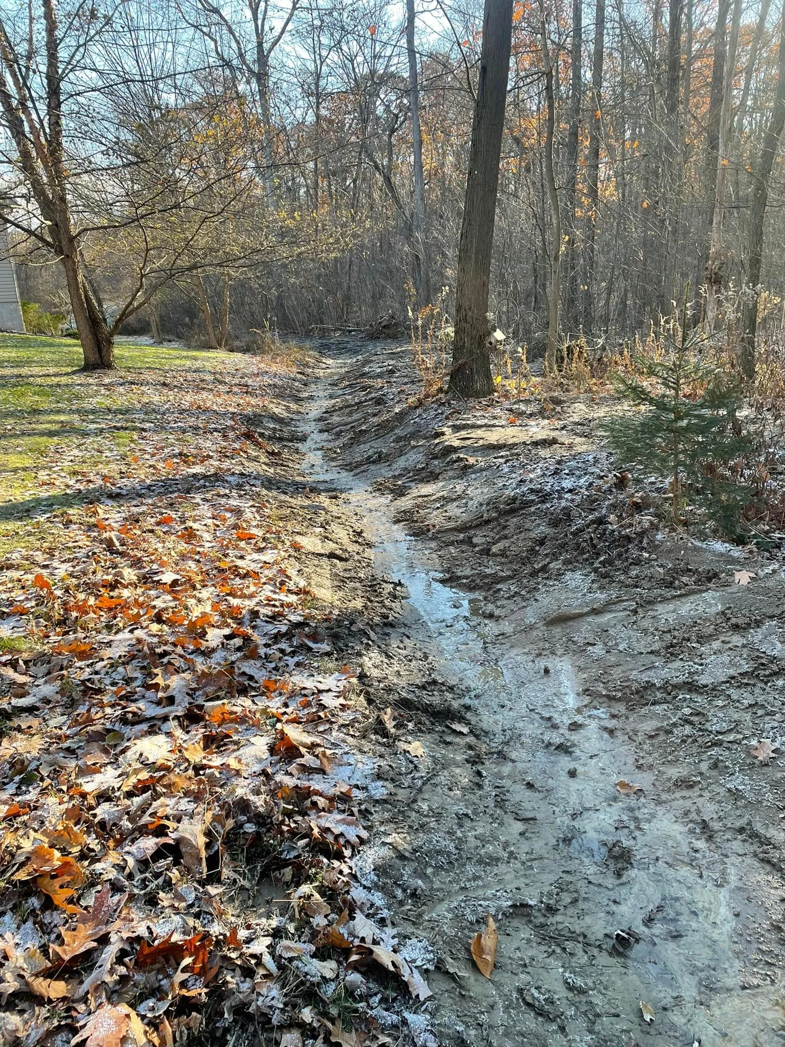 Excavated stream bed with graded soil banks and cleared woodland area